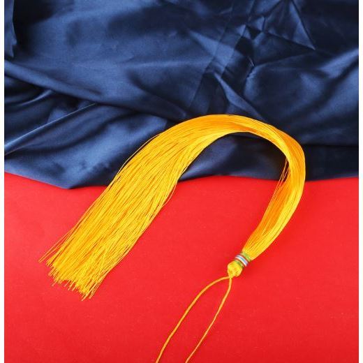 Beautiful Solid Color Tassels 33cm Super Long Polyester Thread Decorative Tassels DIY Handicrafts Apparels (3071L) - Image 6