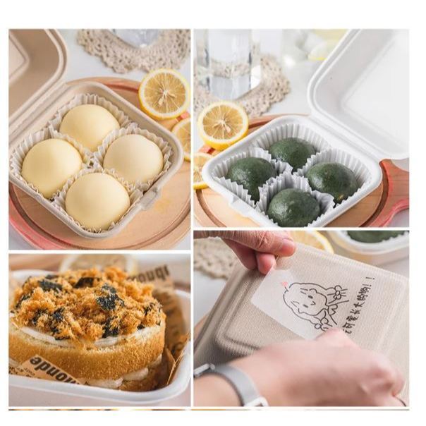 20Pcs Disposable Eco-Friendly Bento Box Food Meal Prep Lunch Storage Fruit Salad Hamburger Cake Fries Sandwich (3154L) - Image 7