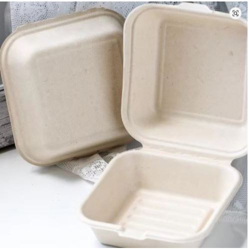 20Pcs Disposable Eco-Friendly Bento Box Food Meal Prep Lunch Storage Fruit Salad Hamburger Cake Fries Sandwich (3154L) - Image 8