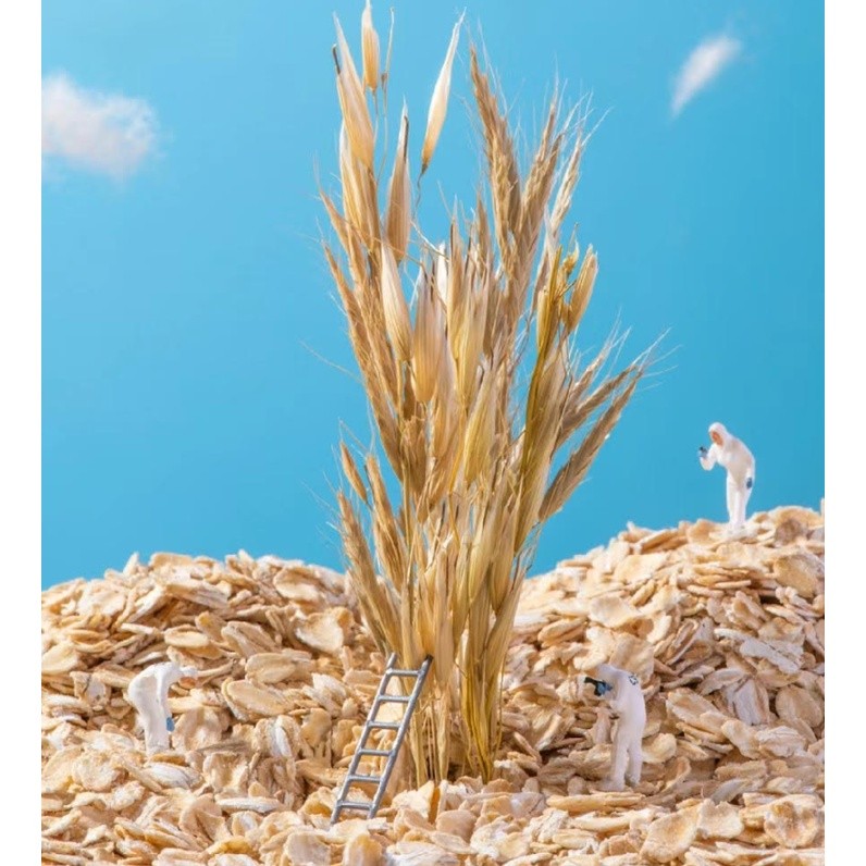 Australian Rolled/ Quick Oats 250g/ 500g/ 1kg/ Bijirin Oat 澳洲燕麦片 (2628L) - Image 3