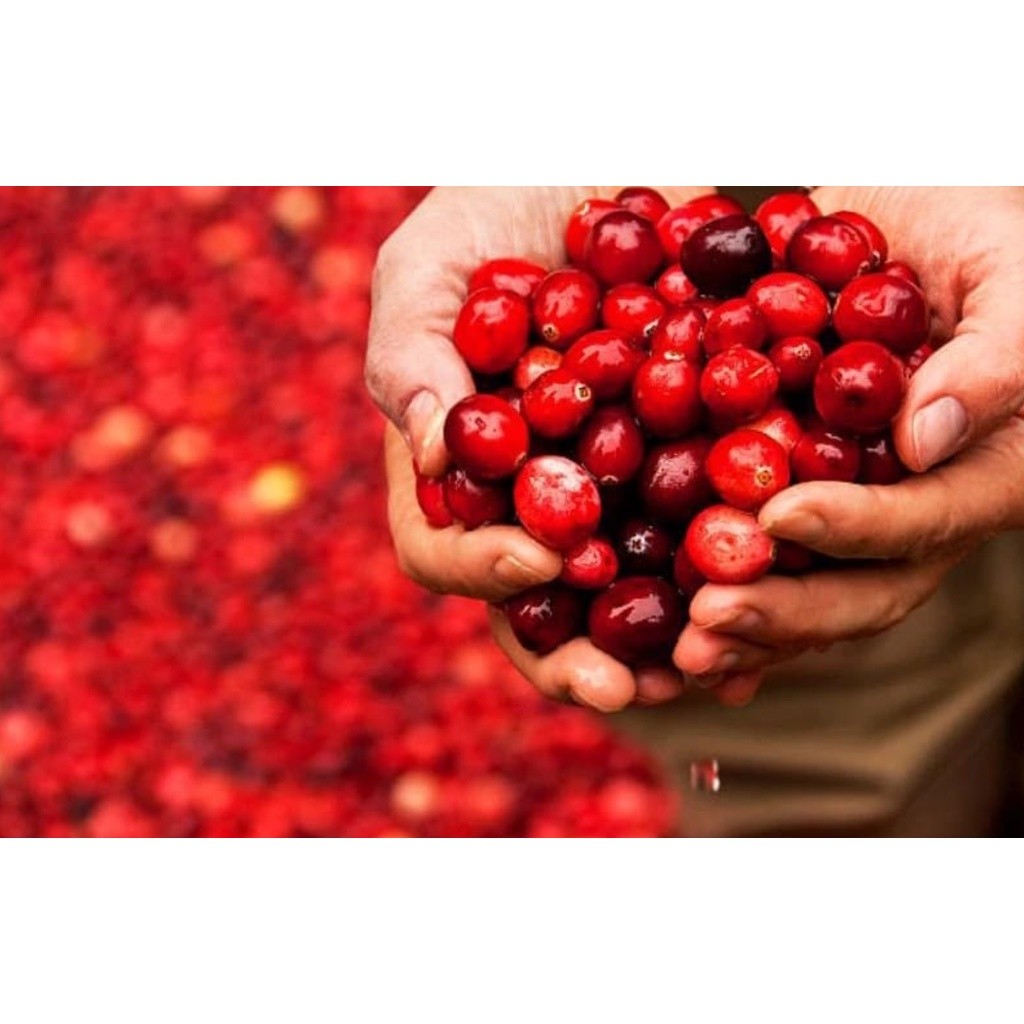 NATURAL Organic Dried Cranberries 天然曼越莓干(2458L) - Image 8