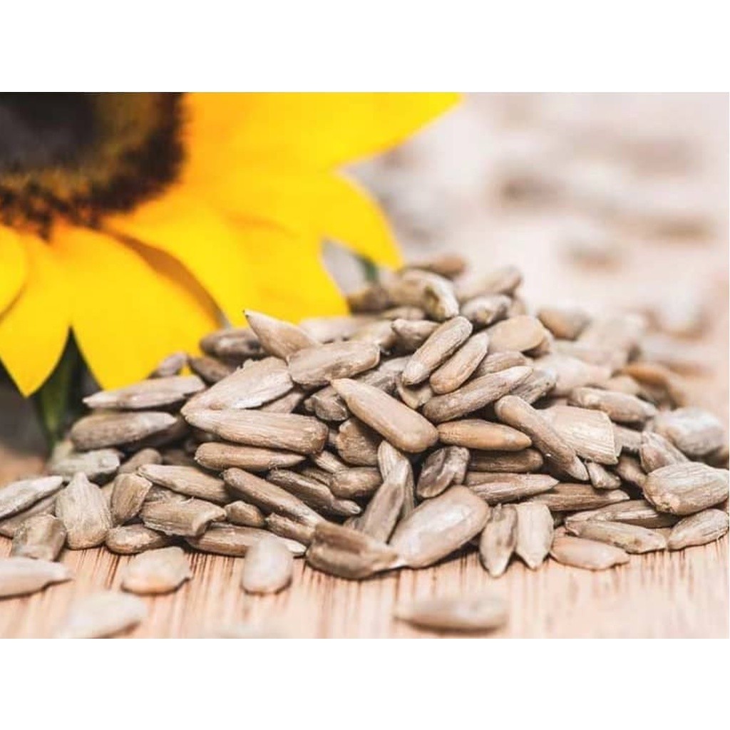 SUNFLOWER SEEDS KERNEL | BIJI BUNGA MATAHARI | 向日葵仁 (2689L)