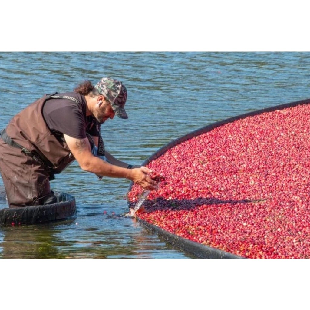 NATURAL Organic Dried Cranberries 天然曼越莓干(2458L) - Image 6